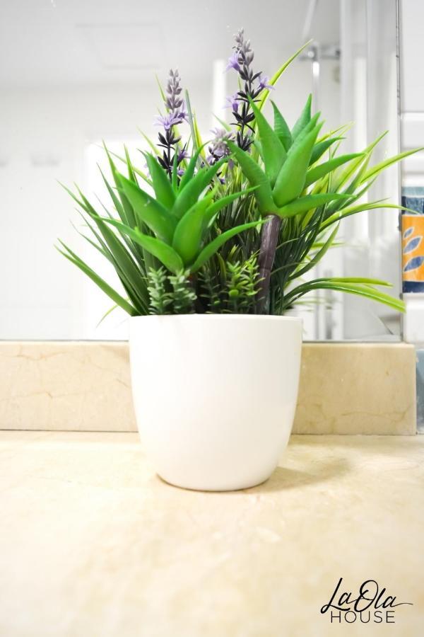 La Ola House Precioso Apartamento Con Piscina คอร์ราเลโฮ ภายนอก รูปภาพ